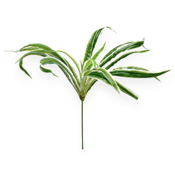 Buchet artificial 20 fire Dracena verde cu alb